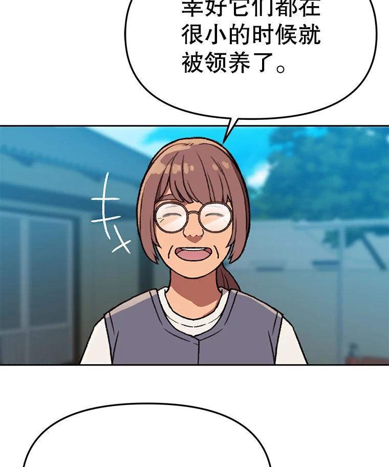 《彩虹桥守望者》144.一起做义工 第11页