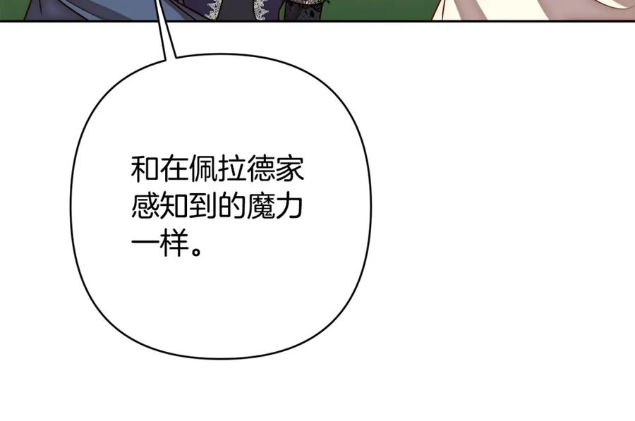 《回归后，黑化复仇！》第10话 神殿大祭司 第11页