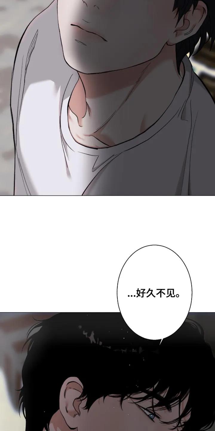 《海岛人生》第104章：【第二季】好久不见 第26页