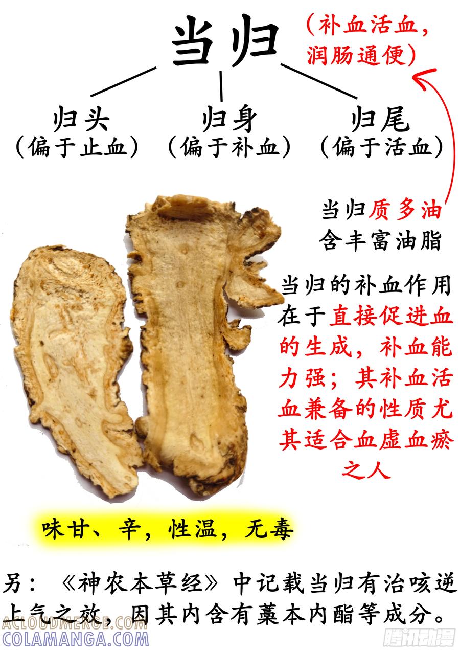《本草传》四物汤 第3页