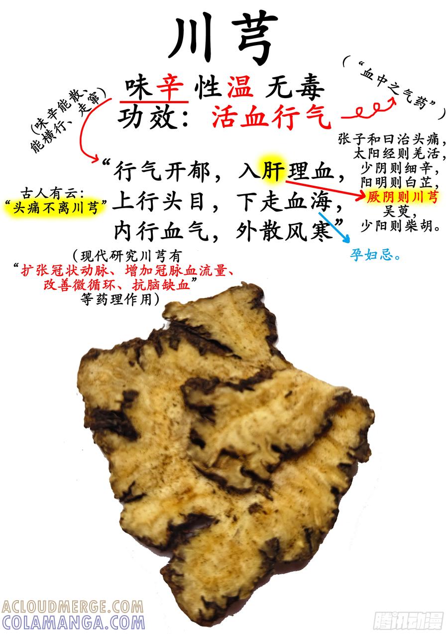 《本草传》四物汤 第4页