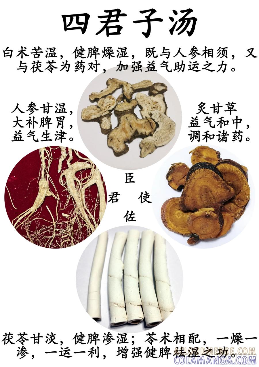 《本草传》四君子汤、八珍汤（八珍散） 第5页