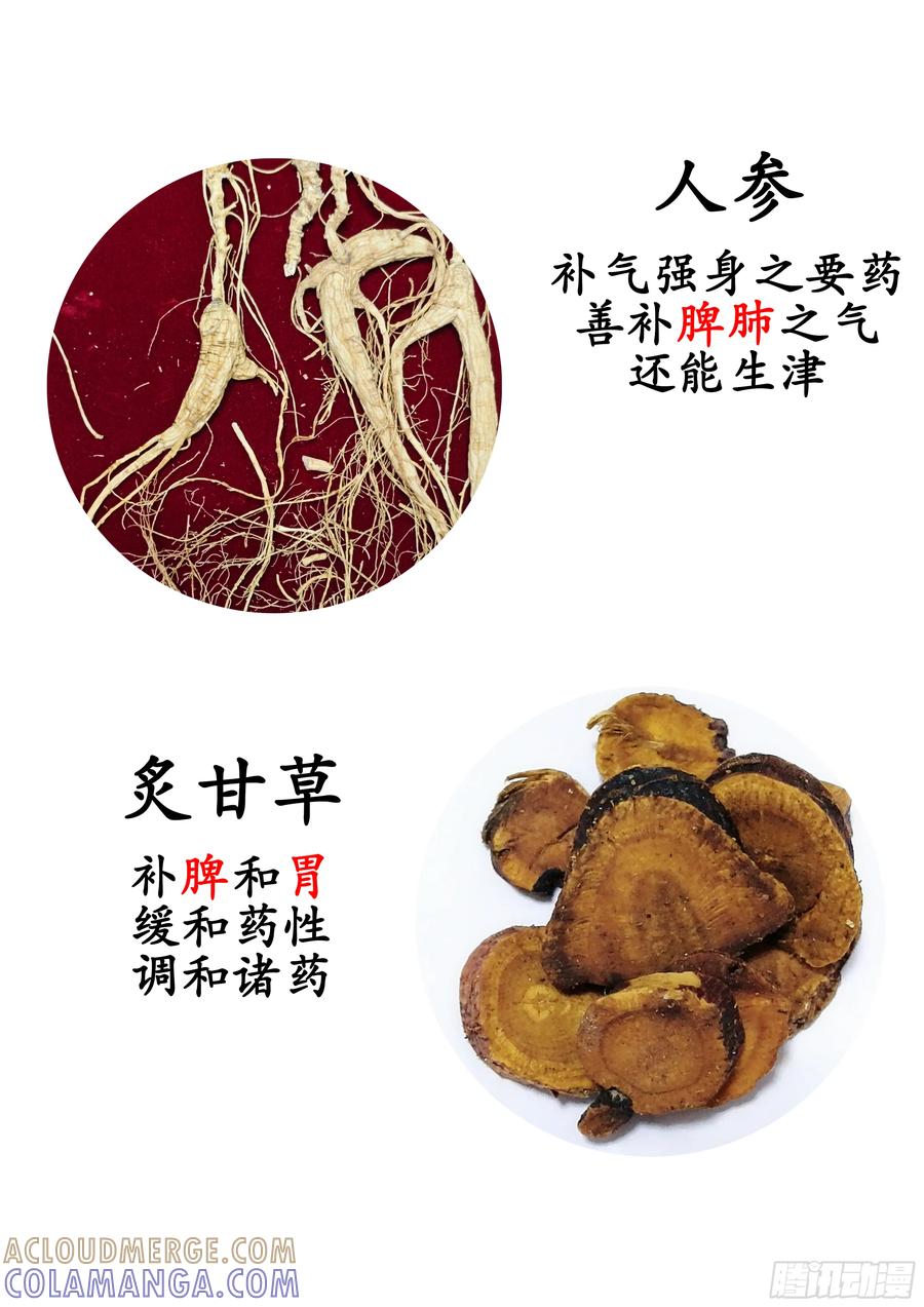《本草传》四君子汤、八珍汤（八珍散） 第2页