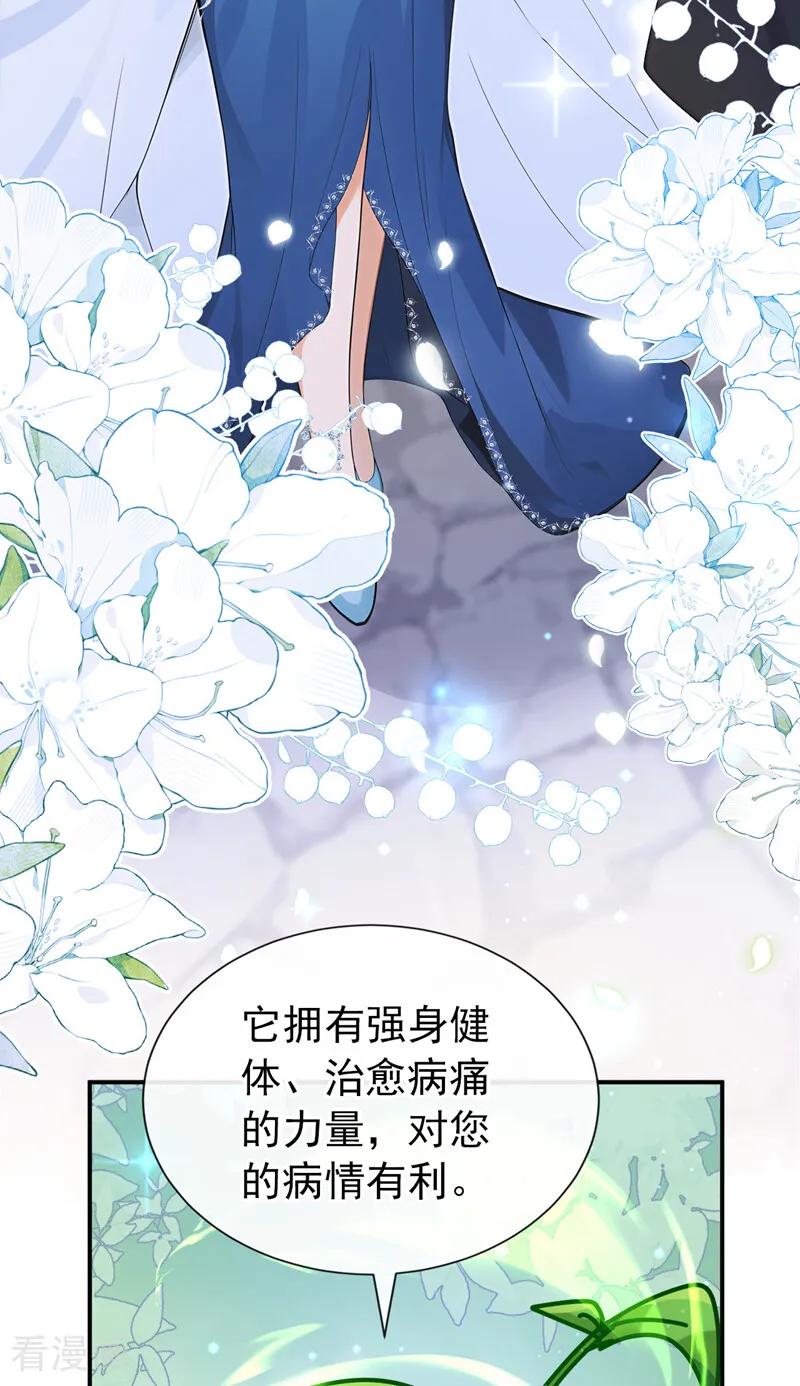《让出天赋后，我成了魔法界团宠》第40话 重要的日子 第48页
