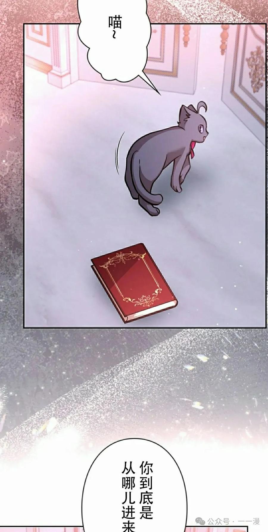 《女主角们想杀我》第23集 第8页