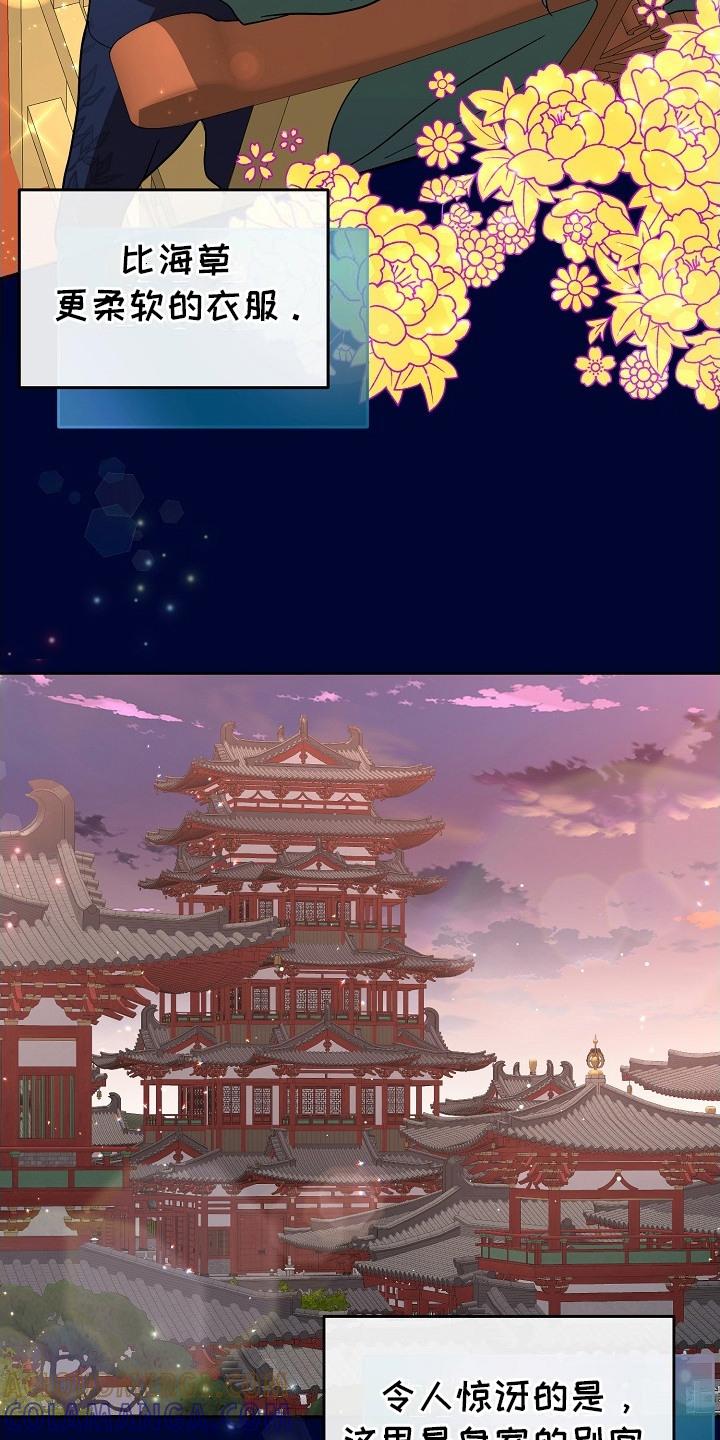 《陆地灵药》第14章： 胡思乱想 第11页