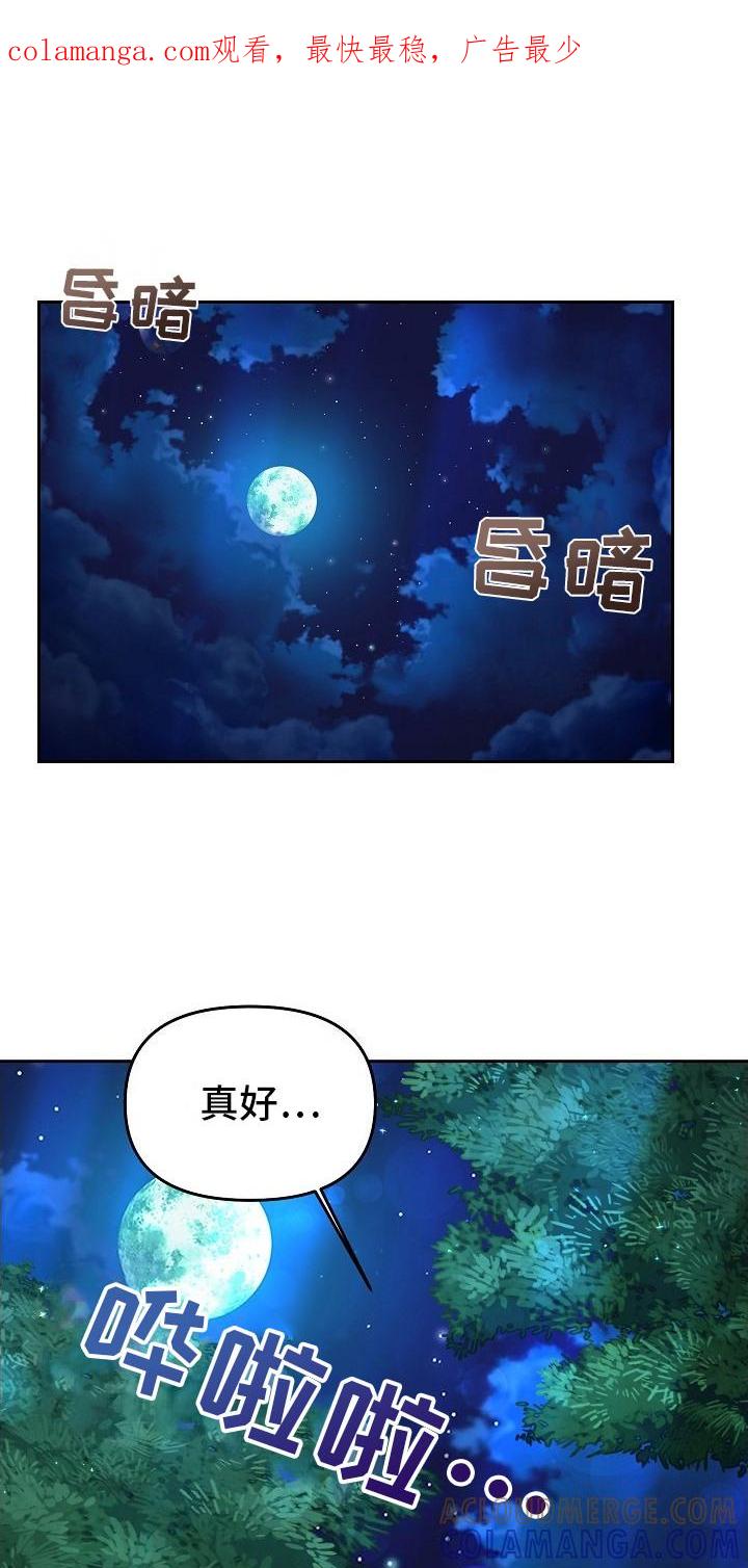 《陆地灵药》第15章：练剑 第1页