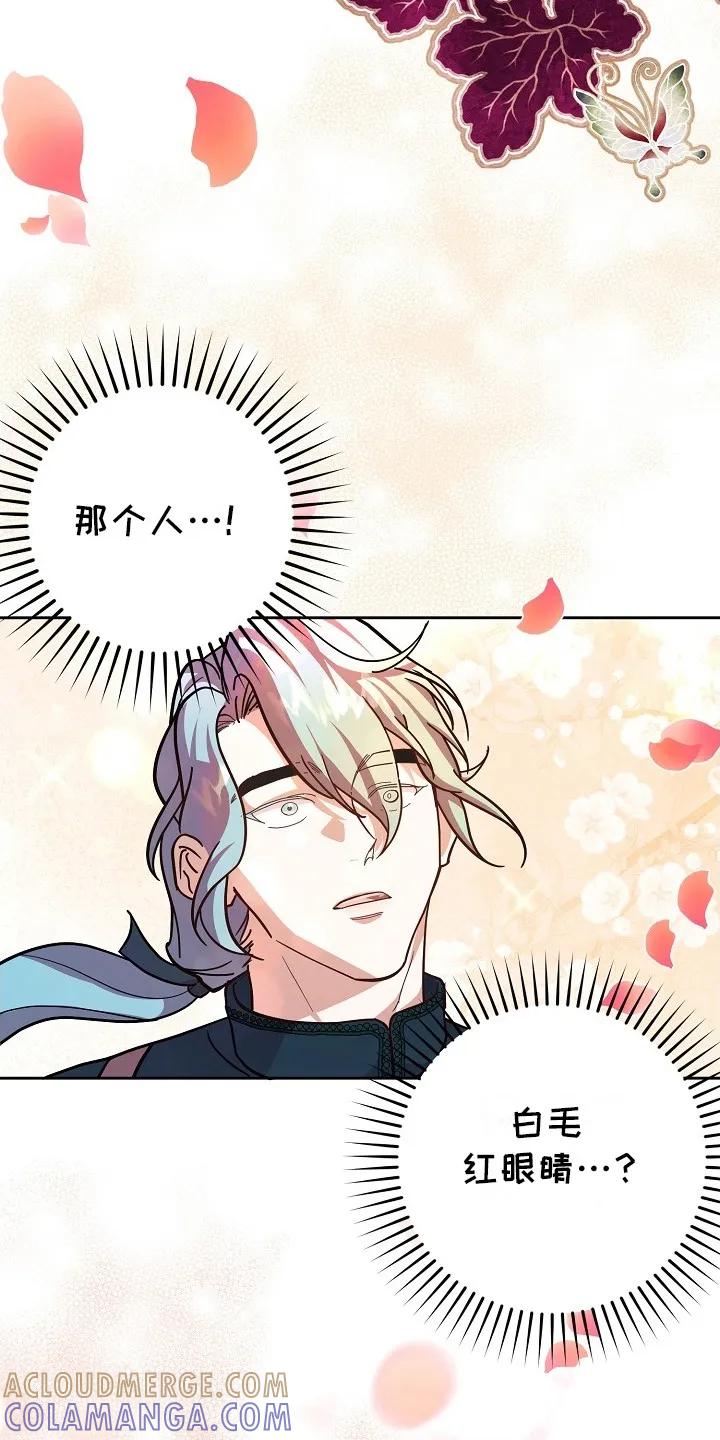 《陆地灵药》第4章：迷路 第25页