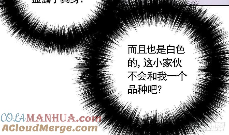 虎假狐危 第7话 小崽子竟是白虎？ 第22页