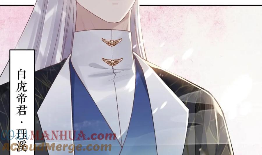 虎假狐危 第11.5话 让我们看看大老虎吧番外 第13页