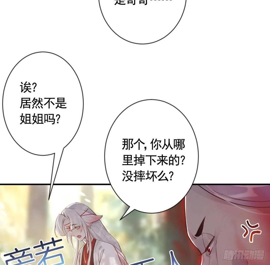 虎假狐危 第2话 漂酿哥哥！ 第14页
