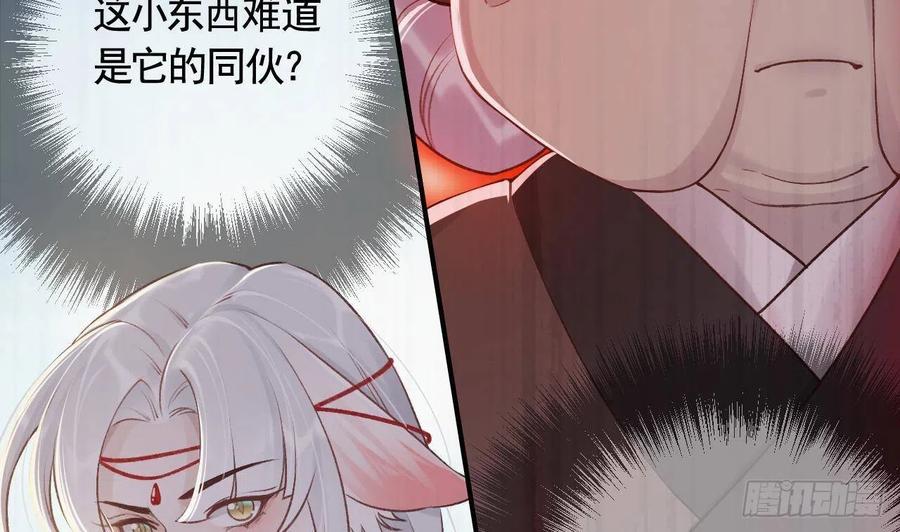 虎假狐危 第2话 漂酿哥哥！ 第5页