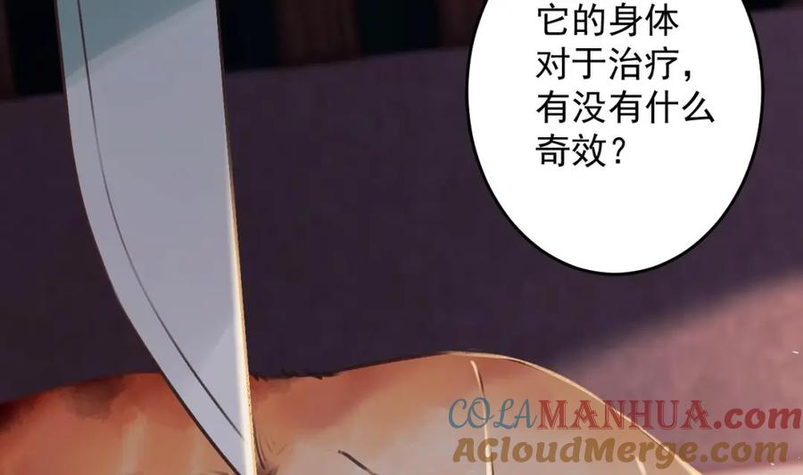 虎假狐危 第49话 绝处逢生 第29页