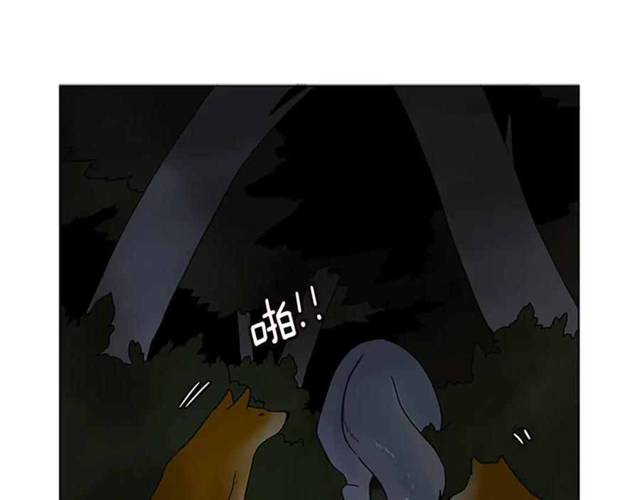 《狐狸的枷锁》第103话 回来了 第15页