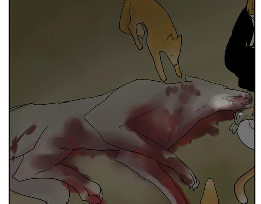 《狐狸的枷锁》第104话 他受伤了 第80页