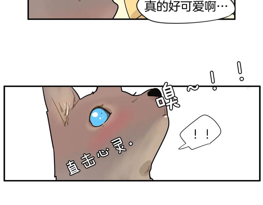 《狐狸的枷锁》回忆篇第4话 心动 第66页