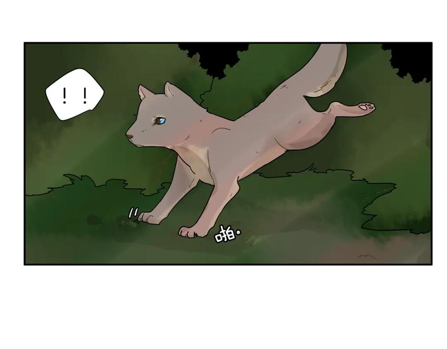 《狐狸的枷锁》回忆篇第4话 心动 第50页