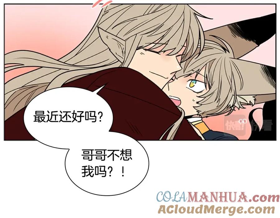 《狐狸的枷锁》第104话 家主的双标现场 第133页