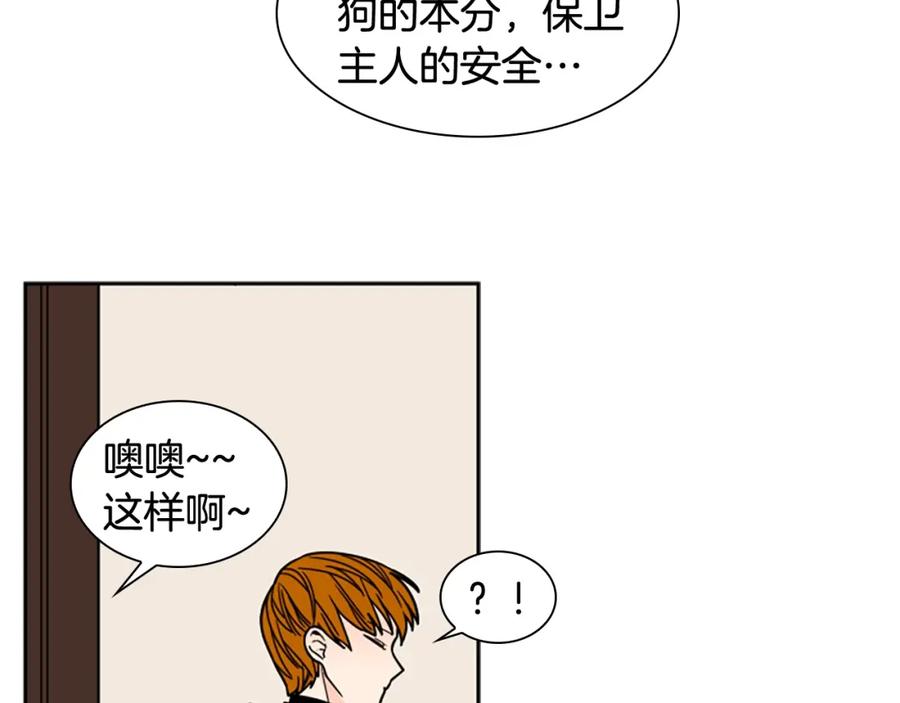 《狐狸的枷锁》第105话 平静下的危机 第14页