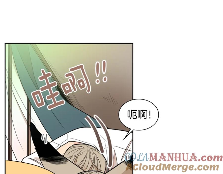 《狐狸的枷锁》第106话 美好的早晨 第17页