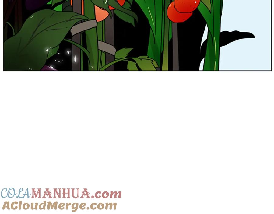 《狐狸的枷锁》第106话 美好的早晨 第33页