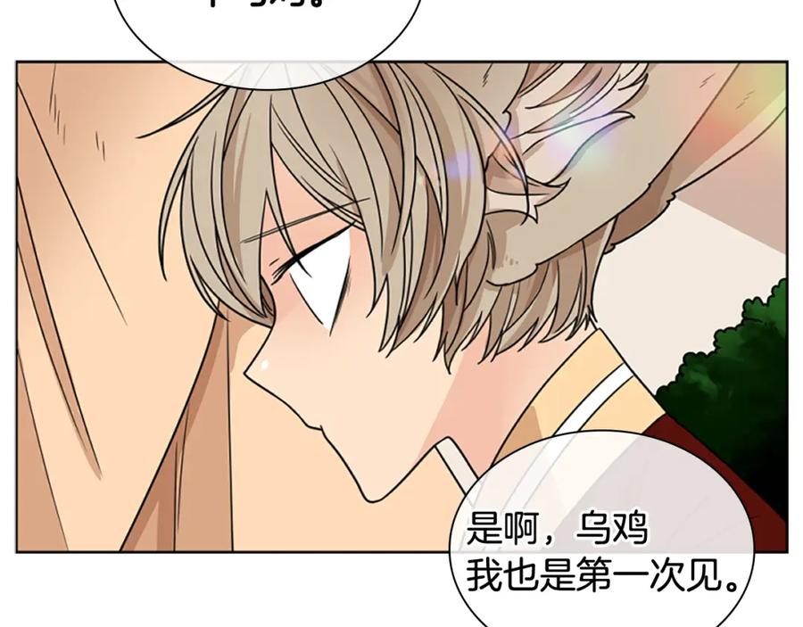 《狐狸的枷锁》第110话 最宠爱的弟弟 第47页