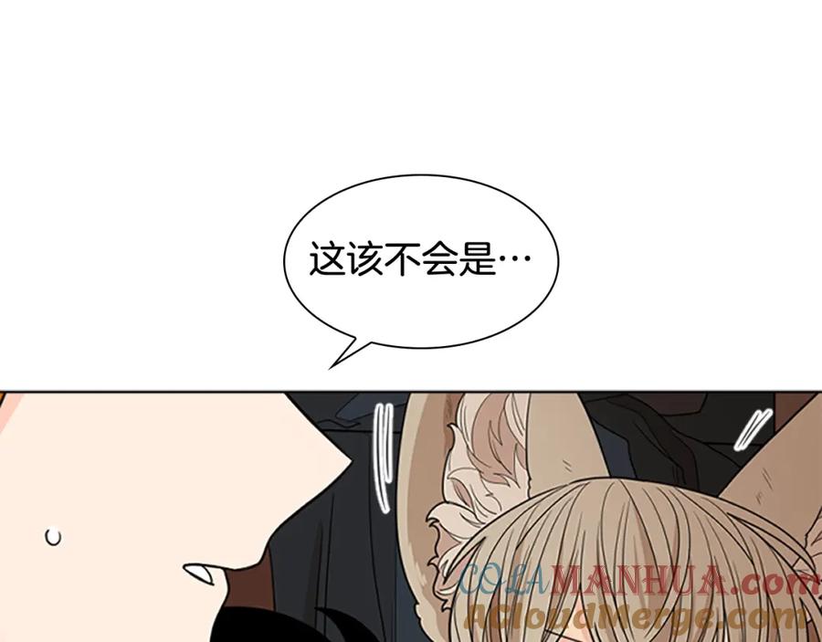 《狐狸的枷锁》第124话 遗失的宝石 第153页