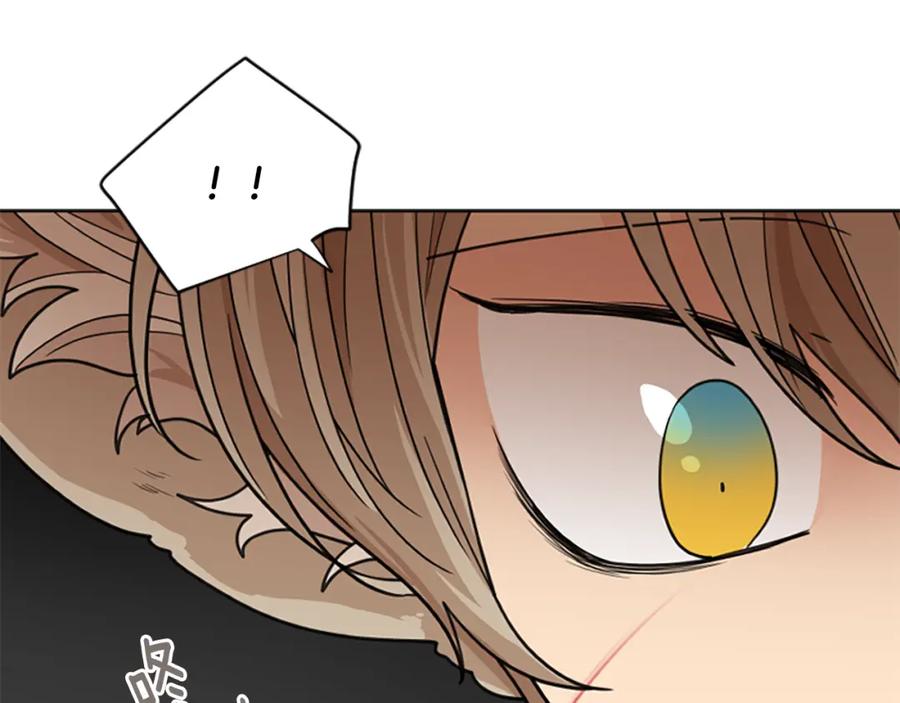 《狐狸的枷锁》第124话 遗失的宝石 第142页