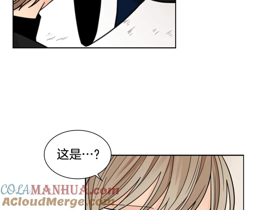 《狐狸的枷锁》第125话 不可原谅 第33页