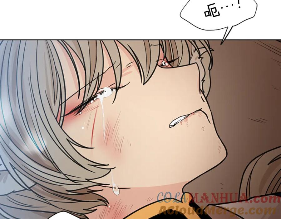 《狐狸的枷锁》第126话 狠毒的一面 第177页