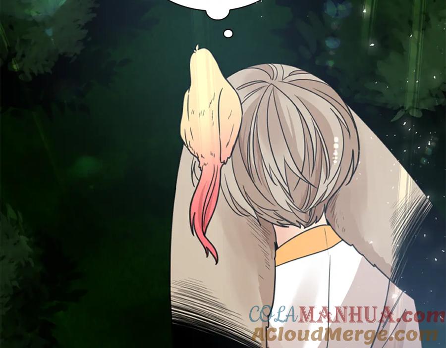 《狐狸的枷锁》第144话 最狠毒的人 第37页