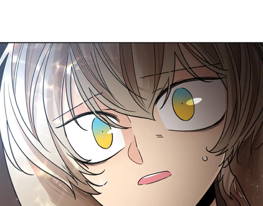 《狐狸的枷锁》第146话 这一切都怪我 第147页