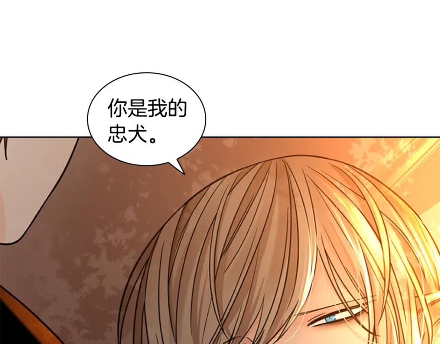 《狐狸的枷锁》第149话 这个敌人是友军 第163页