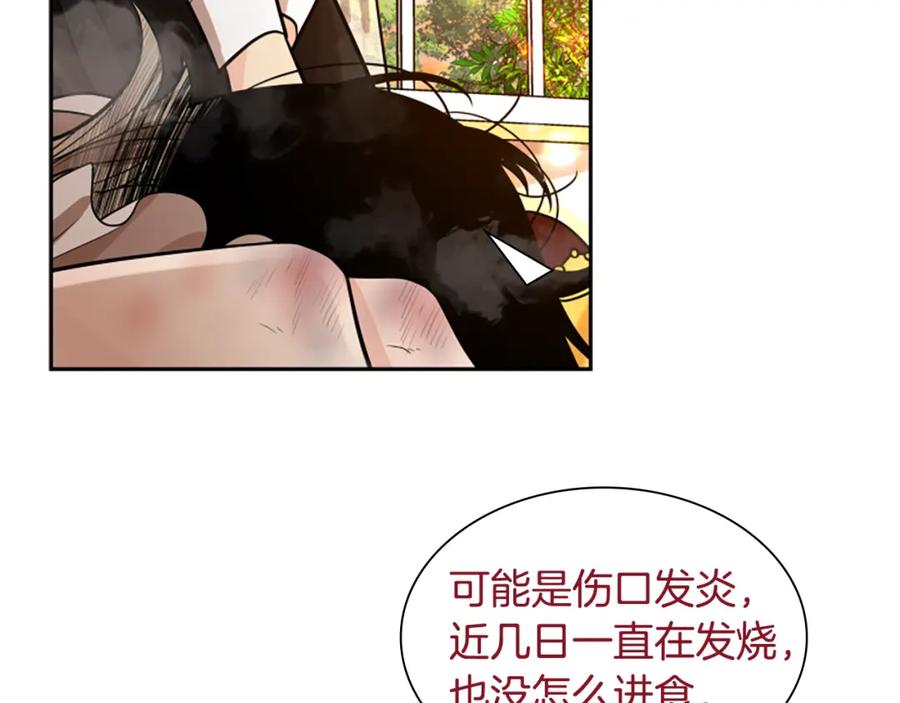 《狐狸的枷锁》第151话 我也要做好弟弟 第20页
