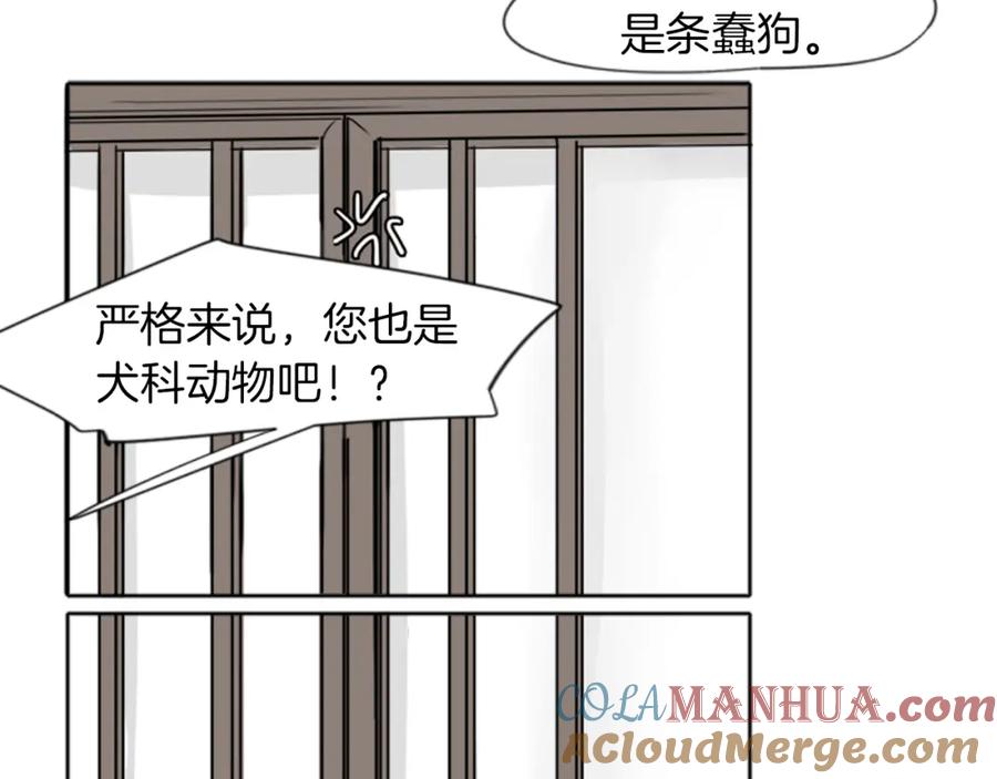《狐狸的枷锁》第17话 装病 第84页