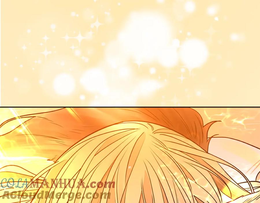 《狐狸的枷锁》第152话 专业驯兽师 第13页