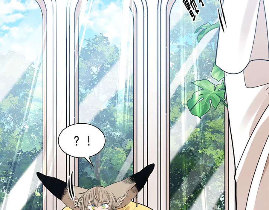 《狐狸的枷锁》第152话 专业驯兽师 第18页