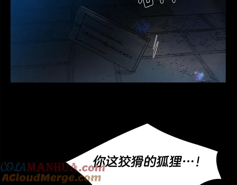 《狐狸的枷锁》第155话 无敌狐尾拳 第117页