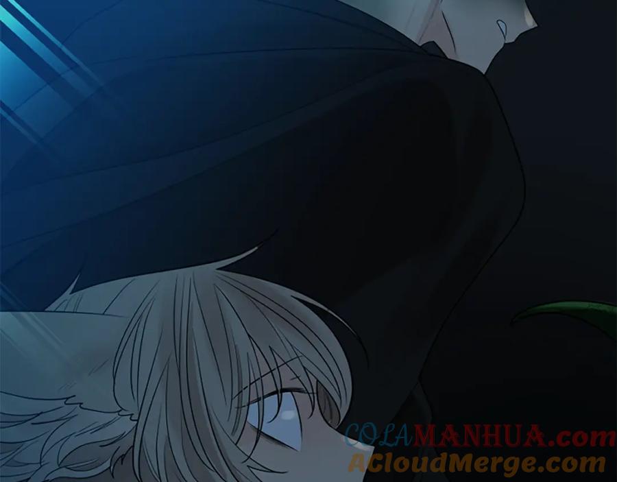 《狐狸的枷锁》第156话 做个交易吧 第181页