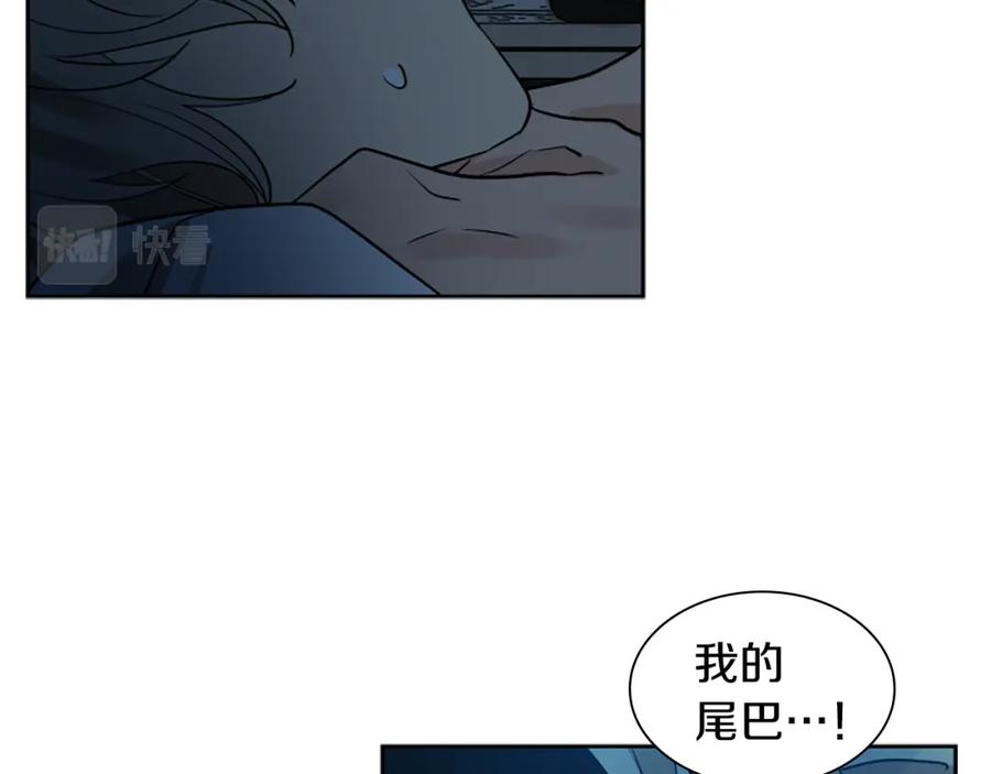 《狐狸的枷锁》第156话 做个交易吧 第163页