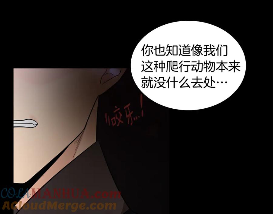 《狐狸的枷锁》第157话 解救行动 第37页