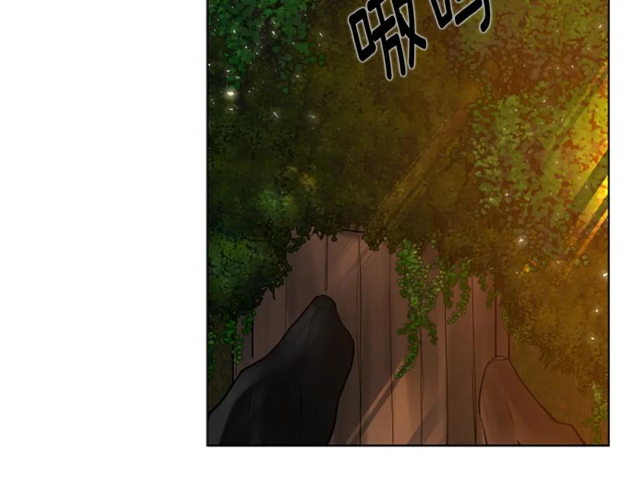 《狐狸的枷锁》第158话 跟我走吧 第172页