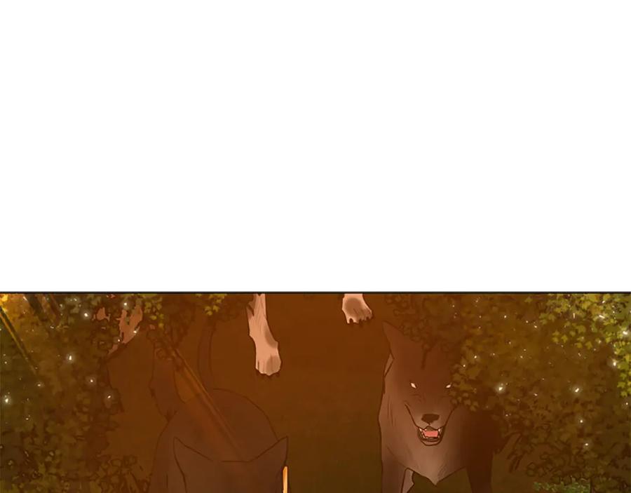 《狐狸的枷锁》第158话 跟我走吧 第162页