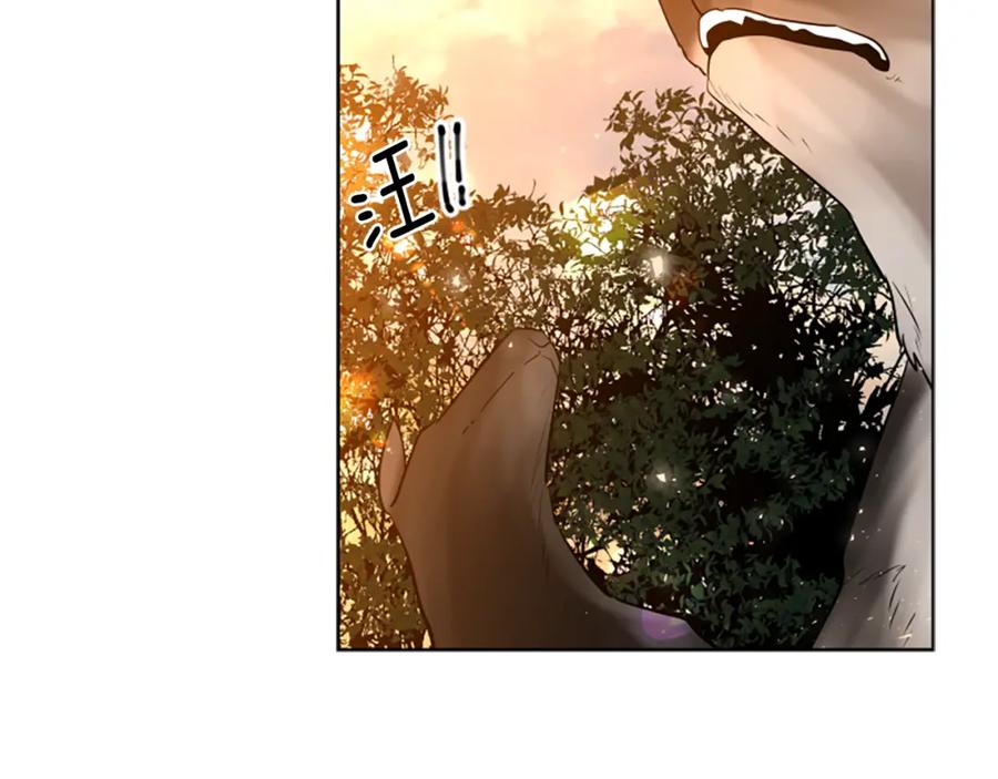 《狐狸的枷锁》第158话 跟我走吧 第86页