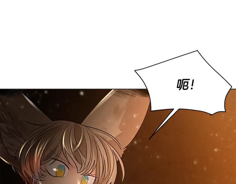 《狐狸的枷锁》第158话 跟我走吧 第192页