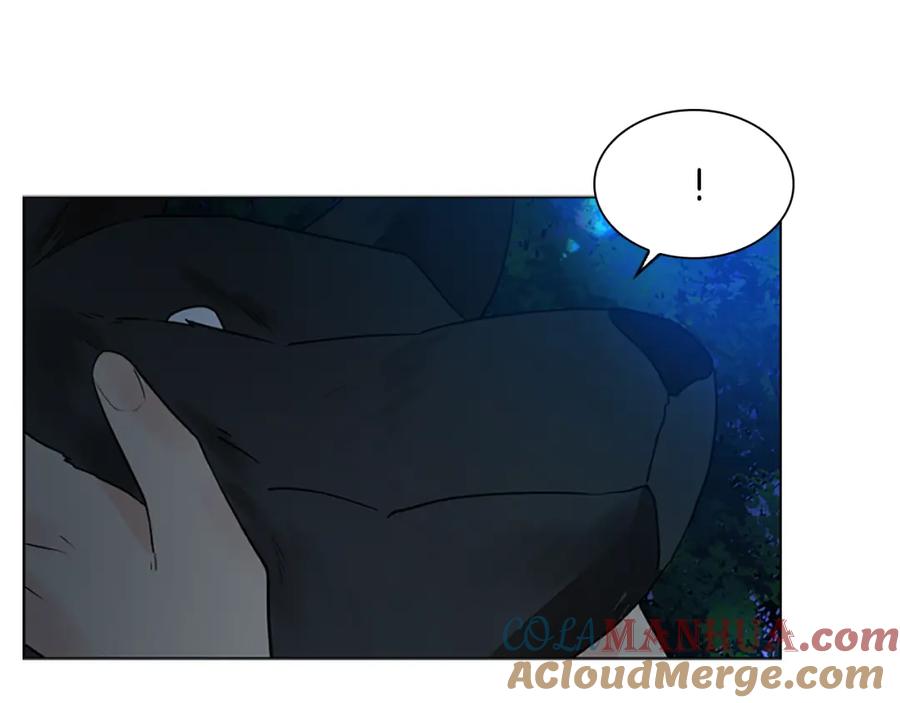 《狐狸的枷锁》第159话 大象复活 第117页