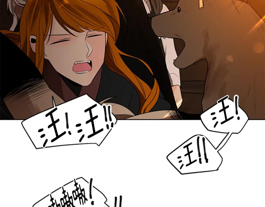 《狐狸的枷锁》第159话 大象复活 第40页