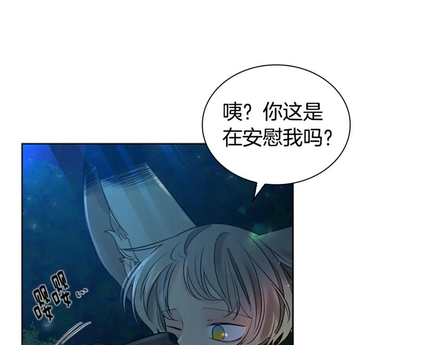 《狐狸的枷锁》第159话 大象复活 第114页