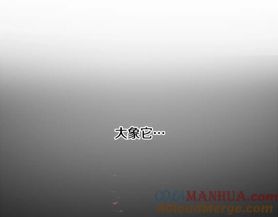 《狐狸的枷锁》第159话 大象复活 第77页
