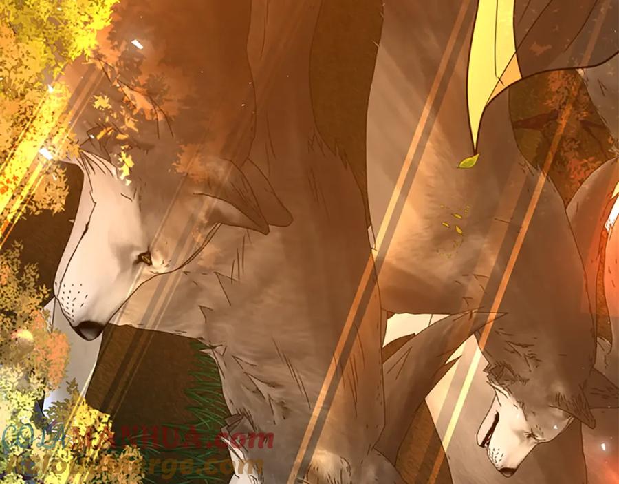 《狐狸的枷锁》第163话 逃脱大作战 第73页